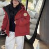 9176 Little Snowy Coats 2