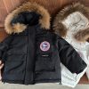 9193 Frosty Bear Coat 2