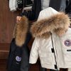 9193 Frosty Bear Coat 3