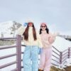 3135 Cozy Cloud Pants
