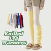 6133 Color Joy Legs Warmer